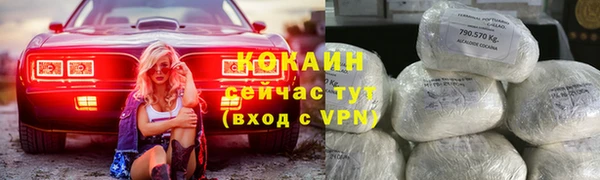гашик Вязьма