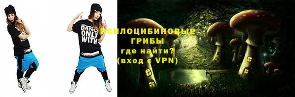a pvp Горняк