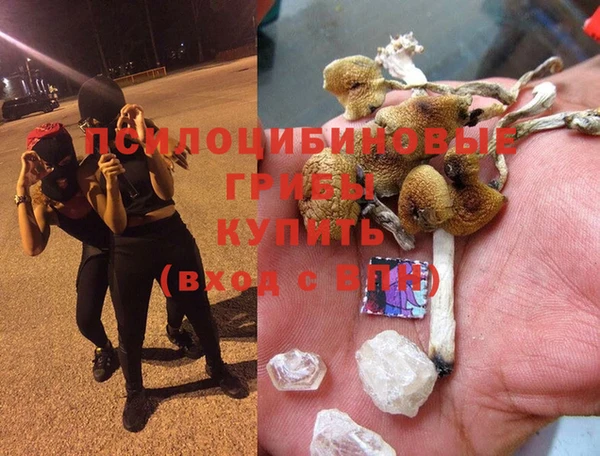 дмт Вяземский