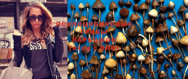 a pvp Горняк