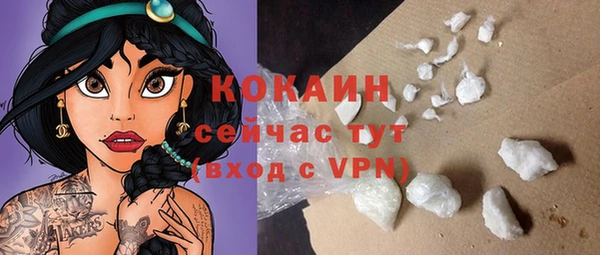 дмт Вяземский