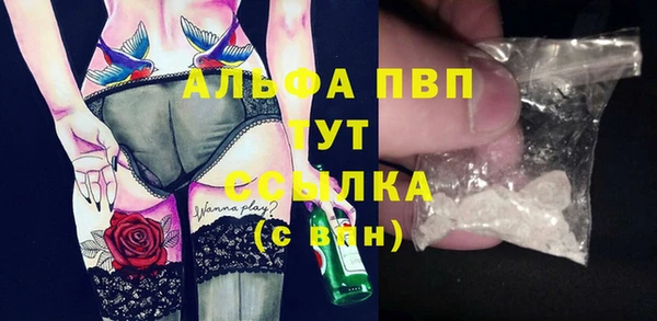 гашик Вязьма