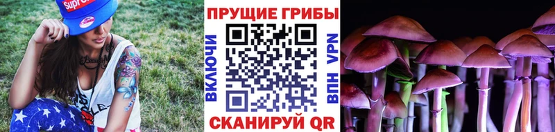 где можно купить   Калуга  Галлюциногенные грибы мухоморы 